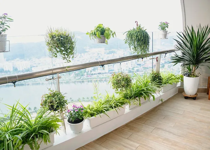 The Starry House - Citadines Apartment Ha Long